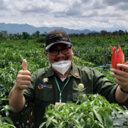 FOOD ESTATE JAWABAN INDONESIA AKAN KRISIS PANGAN DUNIA