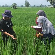 SMK Pertanian Pembangunan Negeri Banjarbaru Menjaring Usia Produktif Masuk ke Sektor Pertanian