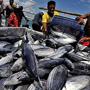 Pembangunan Sektor Kelautan dan Perikanan Harus Implementasikan Paradigma Berkelanjutan