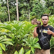 Mengenal Suweg dan Iles-Iles yang Banyak Khasiat