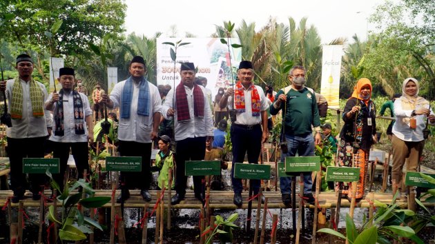 Rayakan HUT DKI Jakarta, Apical Group Bersama Pemprov DKI Tanam 3000 Mangrove