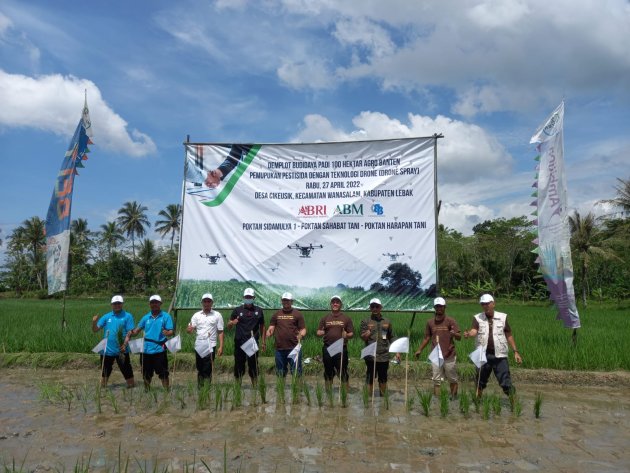 Gandeng Poktan, PT ABM Budidaya Padi 100 Hektar  di Banten Selatan