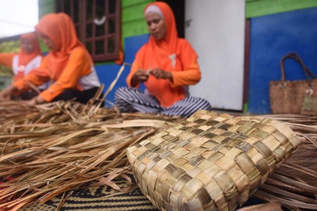 Kampung Gambut Berdikari Pertamina, Sukses Olah Kulit Nanas 