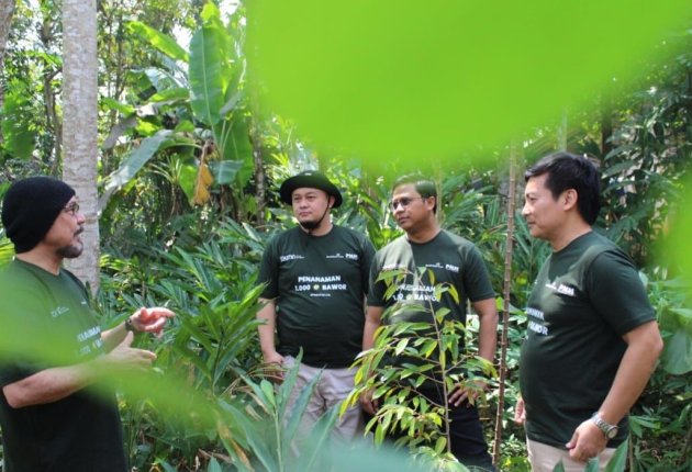 1.000 Bibit Durian PNM, Hijaukan Ekonomi Tiga Desa Banyumas