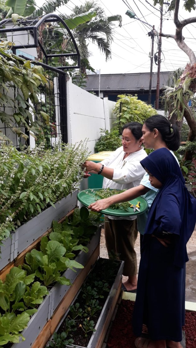 Nasabah PNM Geluti Urban Farming Bantu Program Cegah Stunting 