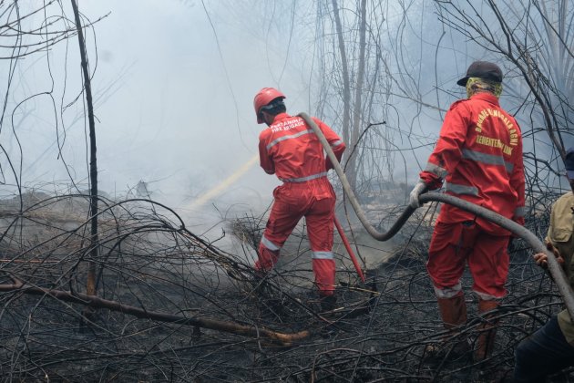 Sinergi Pertamina Group Turunkan Lebih Dari 200 Personil Bantu Atasi Kebakaran Karhutla