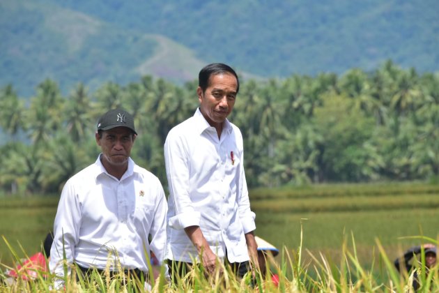 Di Sulteng, Presiden Jokowi Apresiasi Gebrakan Mentan Amran Lakukan Percepatan Tanam Padi