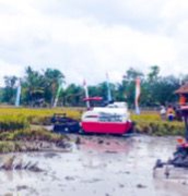 Menilik Peran BRMP dalam Memperkuat Komitmen Swasembada Pangan
