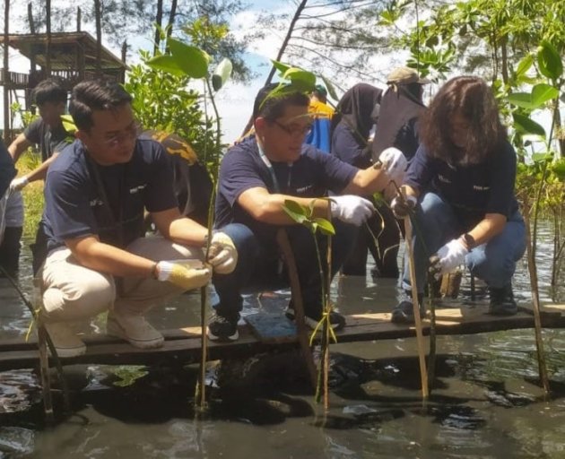 Pegadaian Dukung PNM Balikpapan Tanam 5 Ribu Mangrove di SPI Lamaru