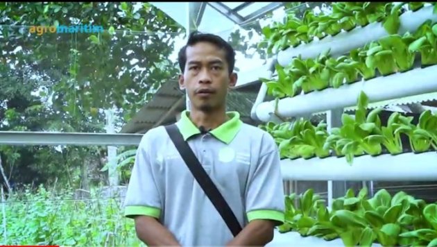 Berhenti jadi Karyawan, Sukses Kembangkan Kebun Pertanian Organik