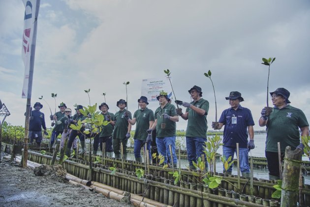 2.000 Bibit Mangrove untuk Bali
