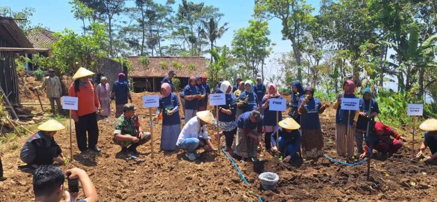 Dukung Petani Indonesia, PNM Beri 10.000 Lebih Bibit Unggul Untuk Panen